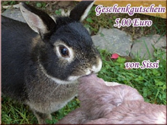 Gutschein 5,- Euro für die Kaninchen-WG