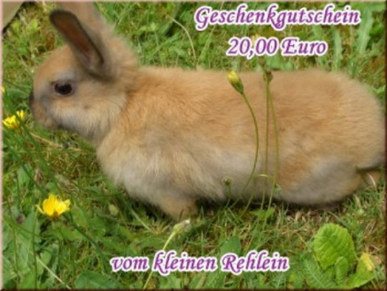 Gutschein 20,- Euro für die Kaninchen-WG