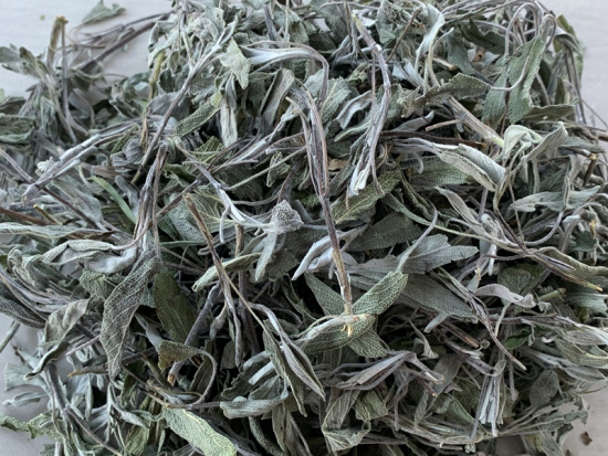 Salbei HiO Ernte 2024 1 A Qualität