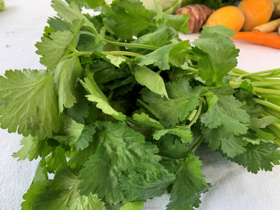 Koriander frisch 250 g
