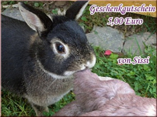 Gutschein 5,- Euro für Kathis Kaninchenfelle