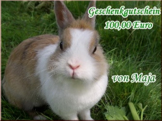 Gutschein über 100,- Euro