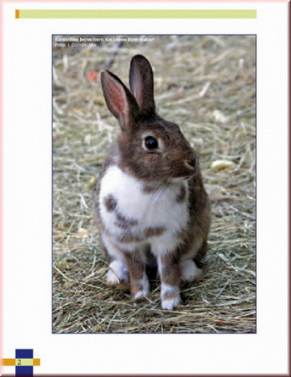 Leben mit Kaninchen von Christine Wilde