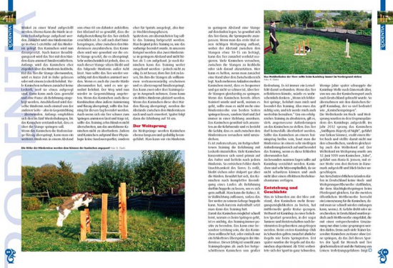 RODENTIA 82  Nov./Dez.2014