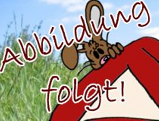 Odenwald-Heuballen 2024 15 kg 1.Schnitt