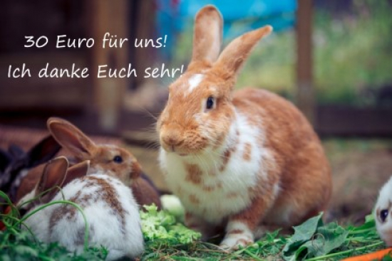 Gutschein 30,- Euro für Fonds für alle Felle