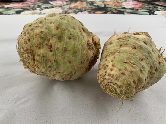 Sellerieknolle frisch 800 g