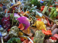Tierheim-Mix für TH Pfaffenhofen